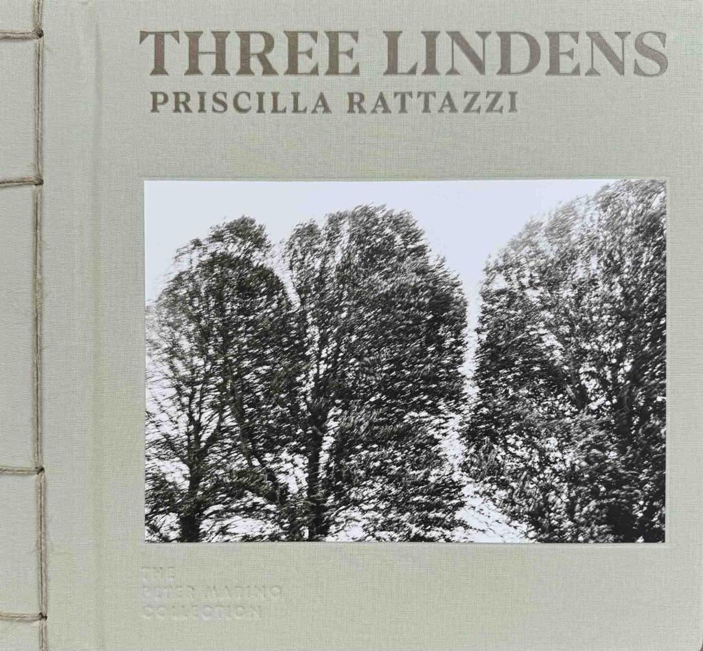 three lindens book cover